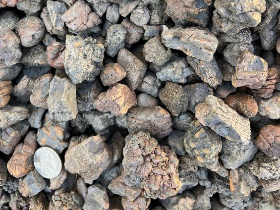 Stone Bark Classic