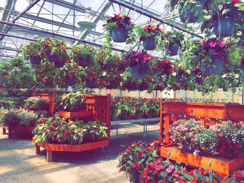 Garden Center